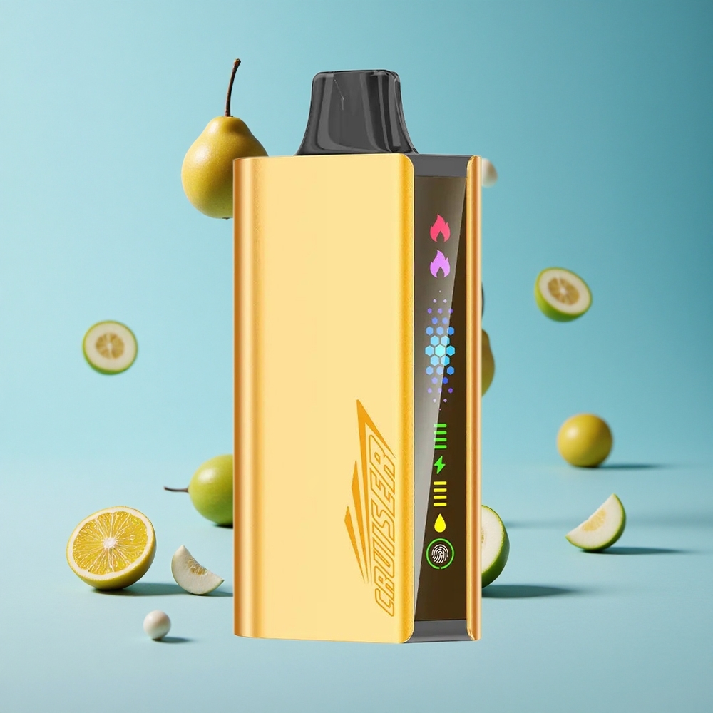 JNR Cruiser 12000 Puffs شاحن مدمج 3500 مللي أمبير منكهة النعناع المنعش