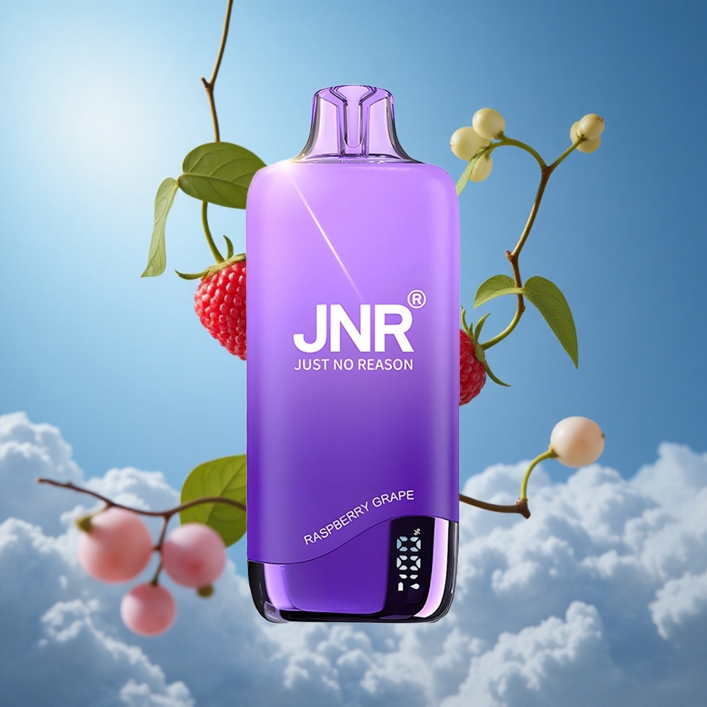 JNR Rainbow 10500 نفخة سيجارة إلكترونية قابلة للتصرف توت عُلّب وعنب مع بطارية 600 مللي أمبير وخزان 18 مل