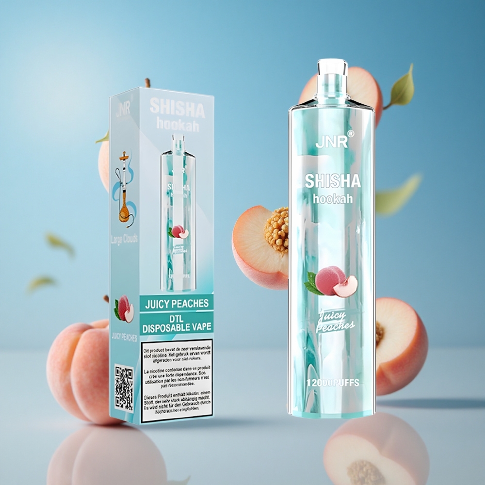 JNR Shisha Hookah 12000 Puffs بخوخ عصيري سعة 24مل وشاحن Type-C
